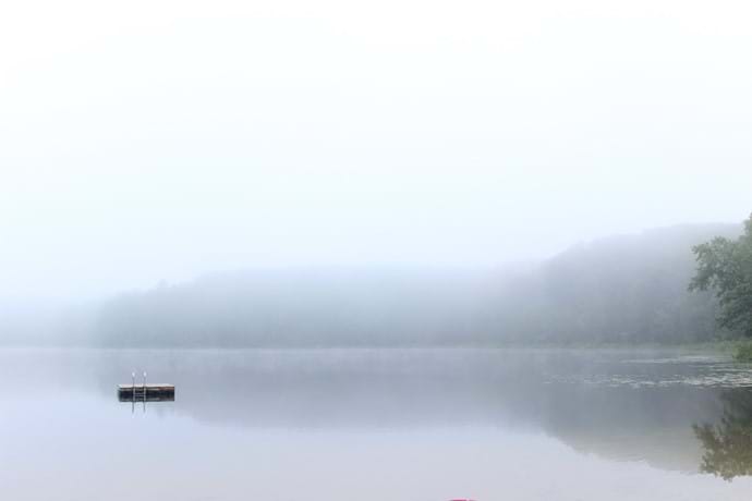 foggy morning at the lake